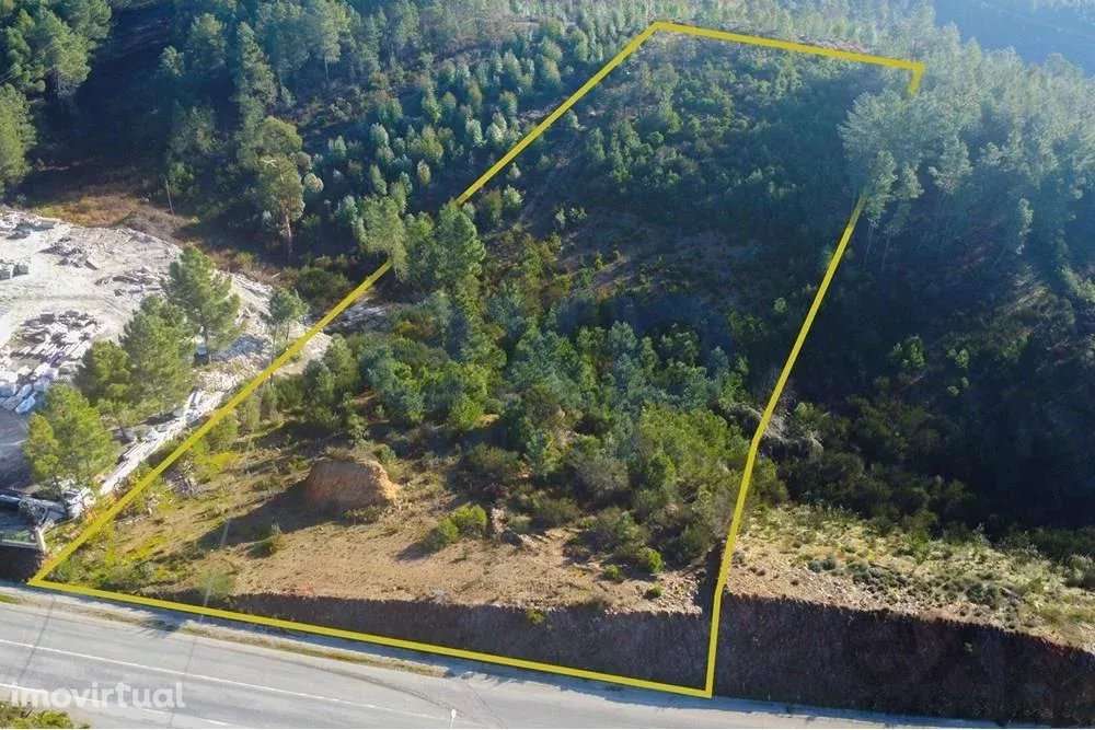 Terreno Rústico em Vila Real - Grande imagem: 3/7