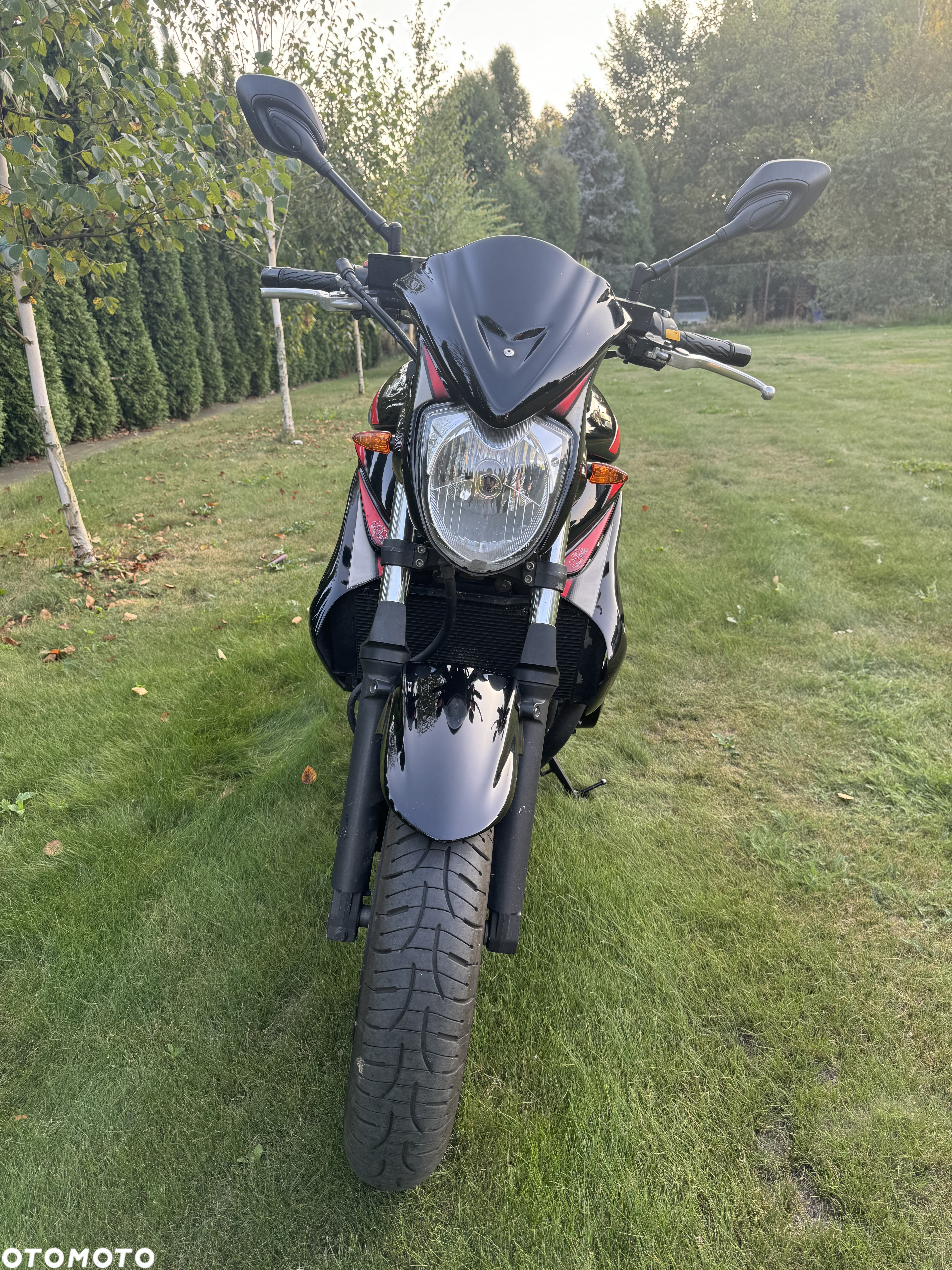 Suzuki Bandit - 5