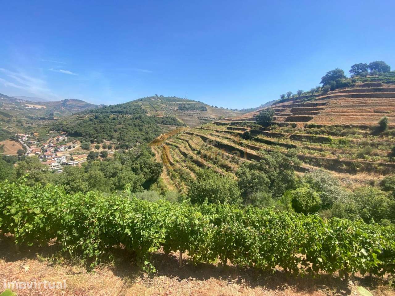 Quinta no Douro - Grande imagem: 2/16