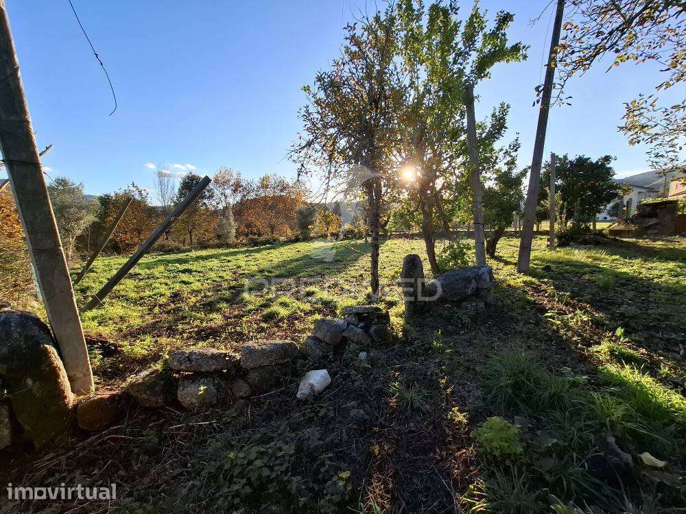 Moradia em Pedra p/ Restauro em Valdreu, Vila Verde - Grande imagem: 4/38