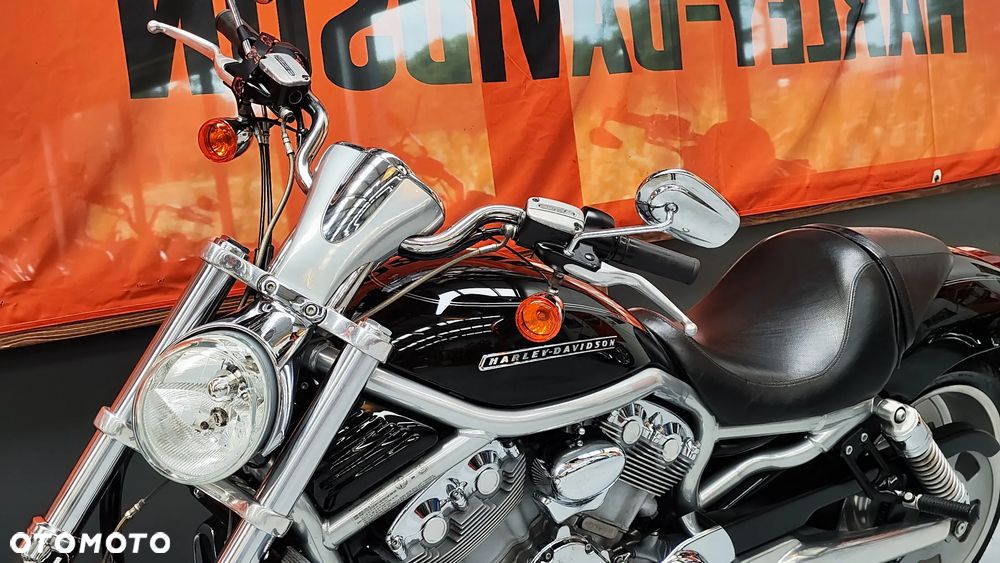 Harley-Davidson Softail V-Rod - 19