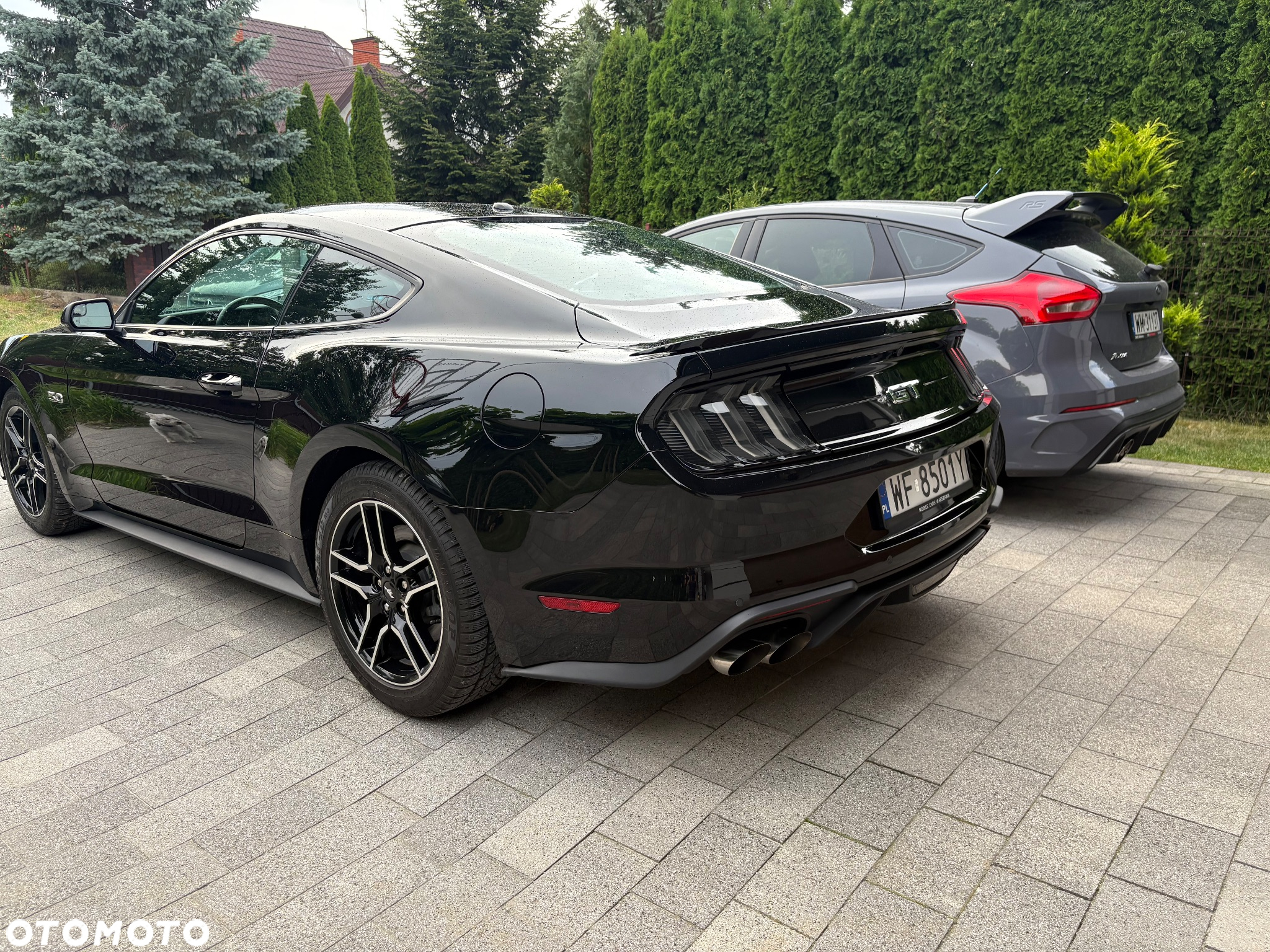 Ford Mustang Fastback 5.0 Ti-VCT V8 MACH1 - 5