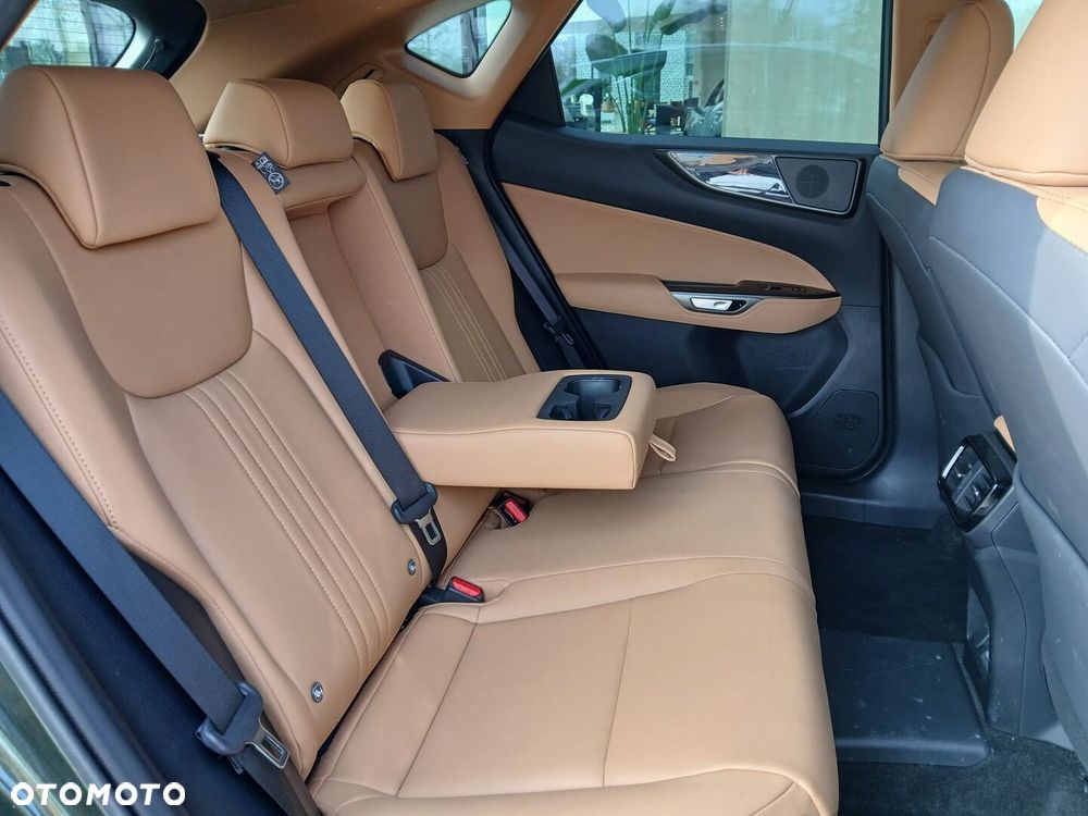 Lexus NX - 29