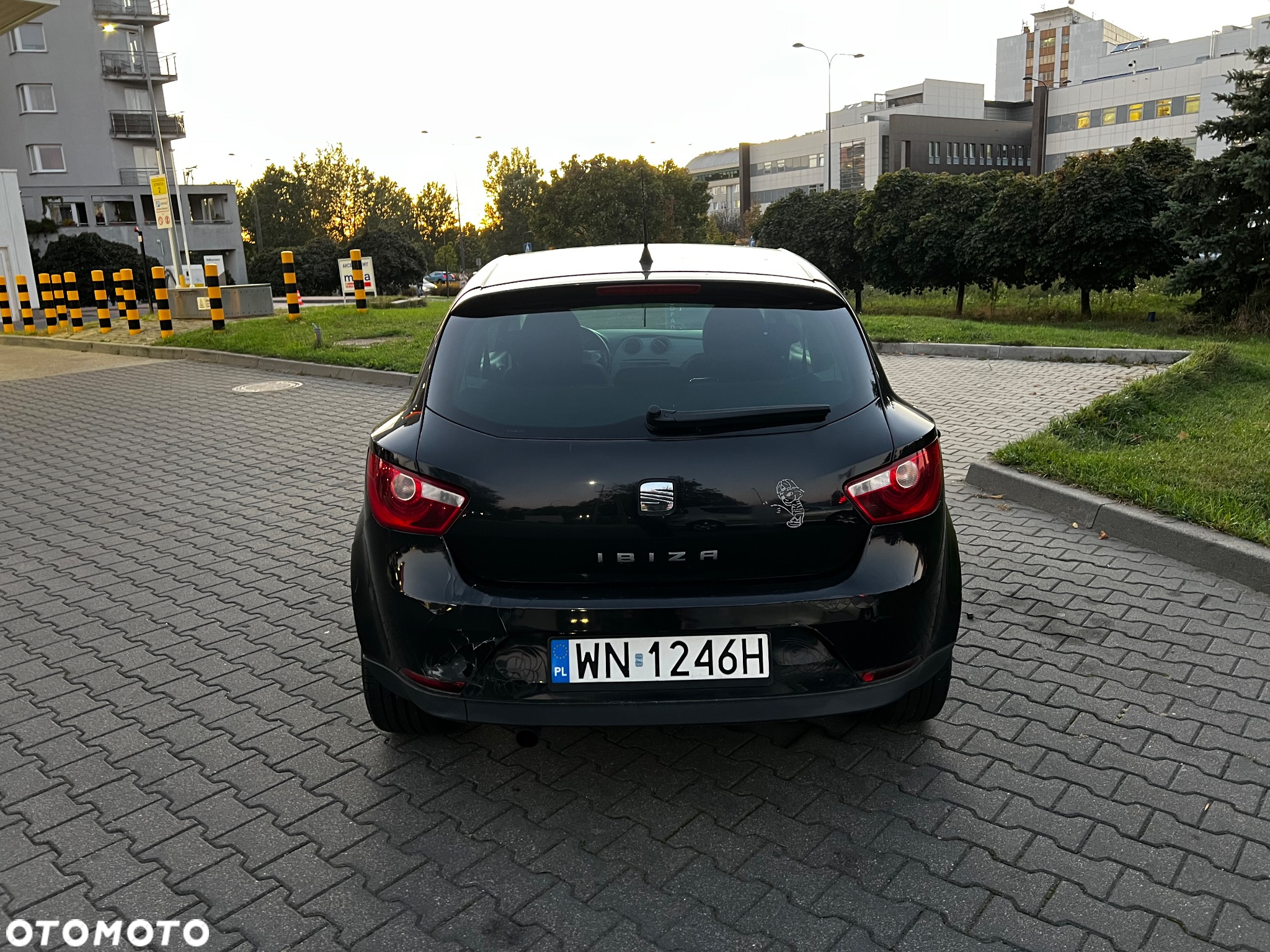 Seat Ibiza SC 1.9 TDI DPF Reference - 2