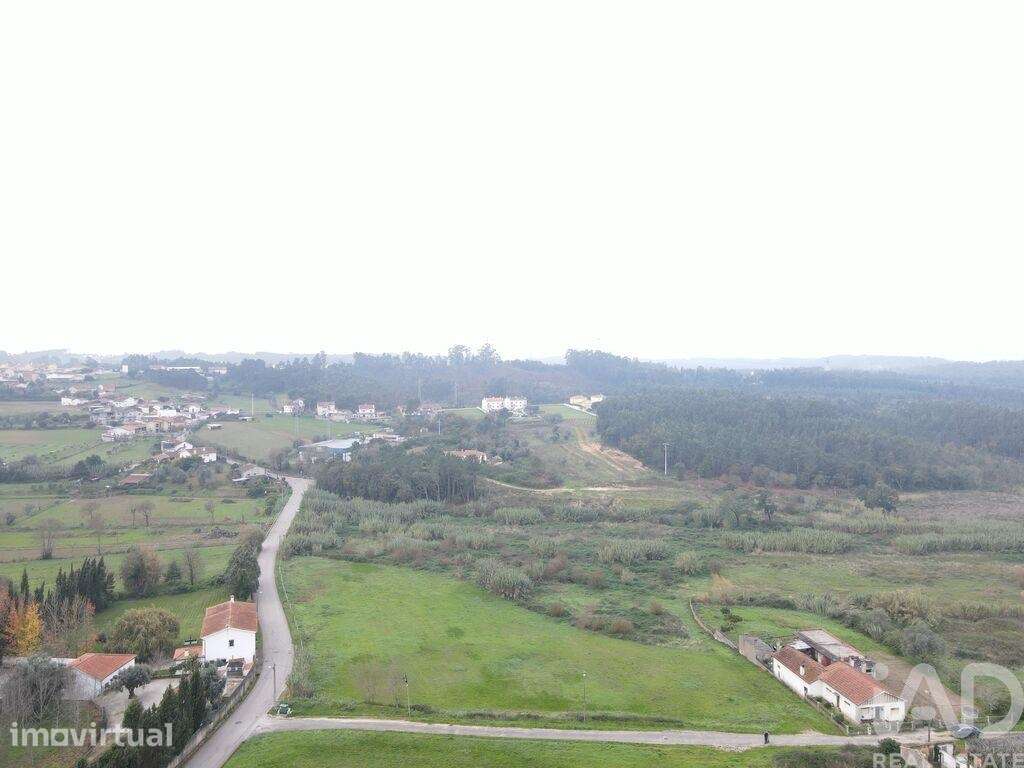 Terreno Agrícola em Eiras e São Paulo de Frades - Grande imagem: 3/10