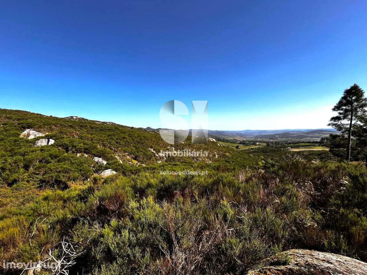 Terreno em Alijó - Grande imagem: 3/15