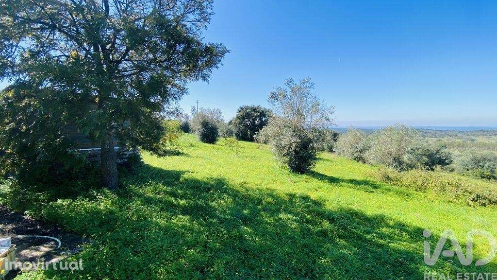 Quinta rural T3 em Galveias de 114 m2 - Grande imagem: 2/40