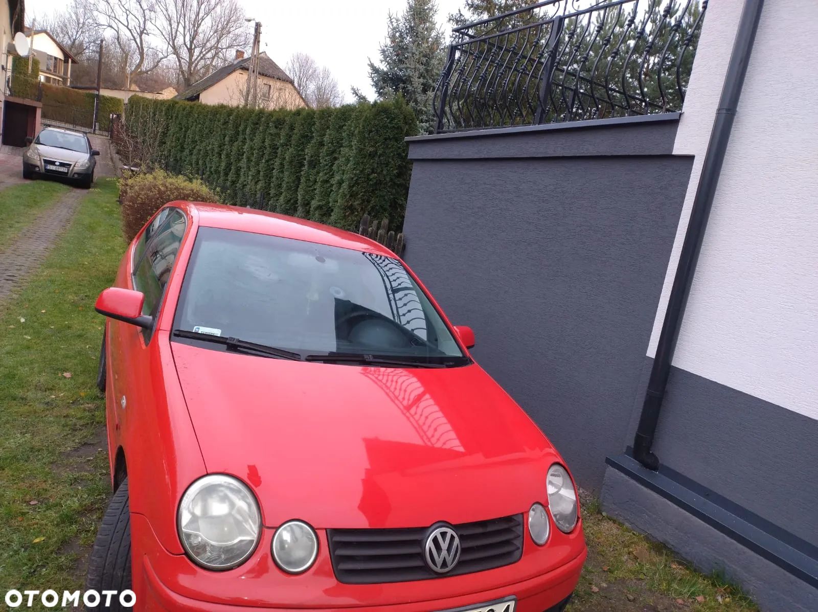 Volkswagen Polo - 1