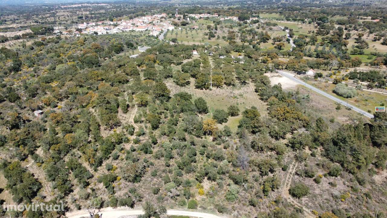 Quinta em Cafede - Grande imagem: 3/4