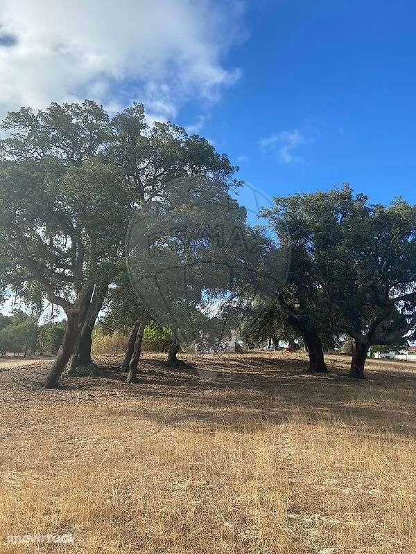 Quinta T0 para arrendamento - Grande imagem: 3/24