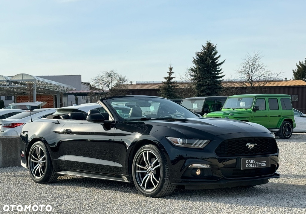 Ford Mustang - 14