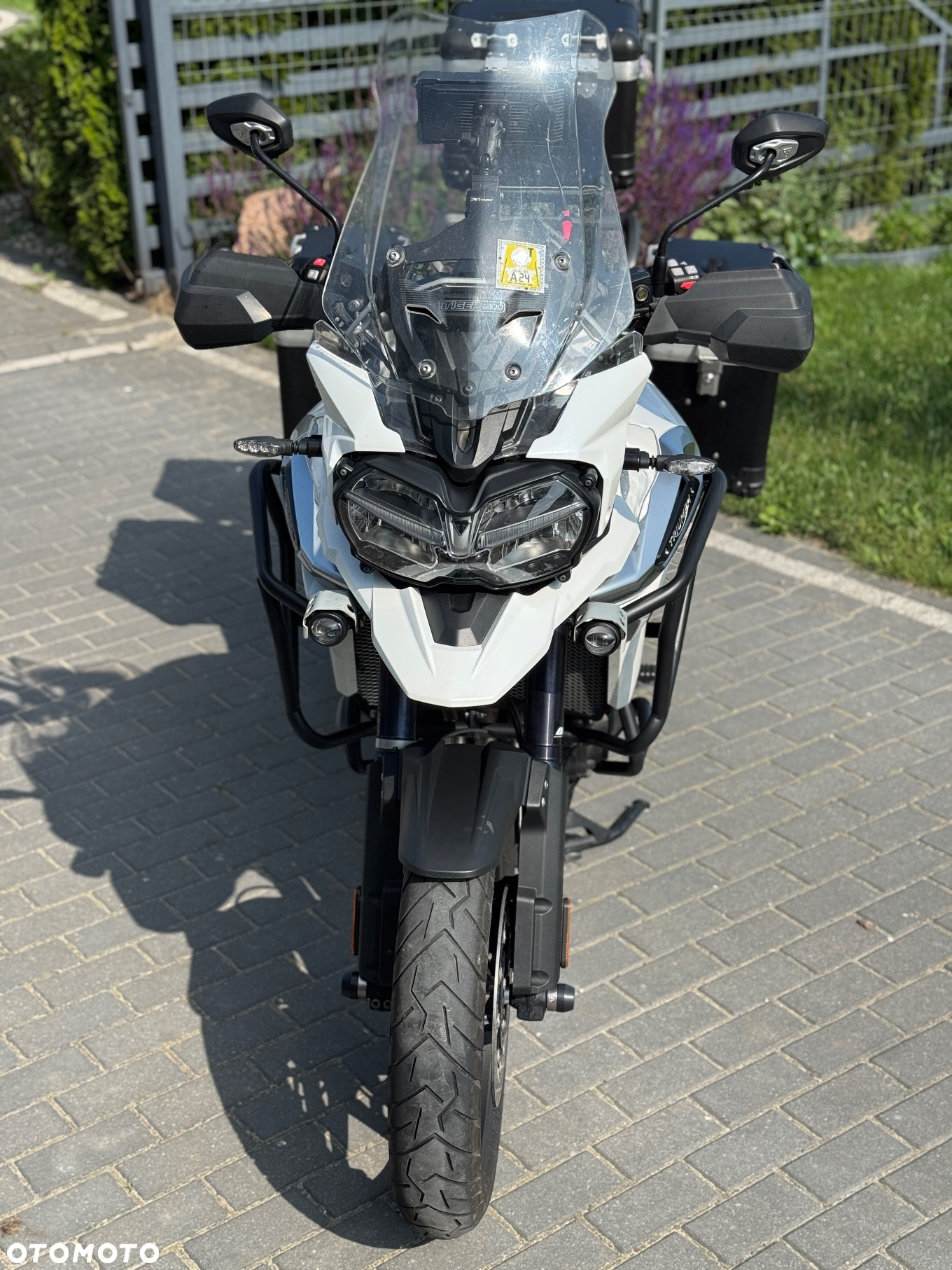 Triumph Tiger