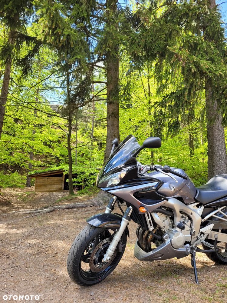 Yamaha FZ6 - 4