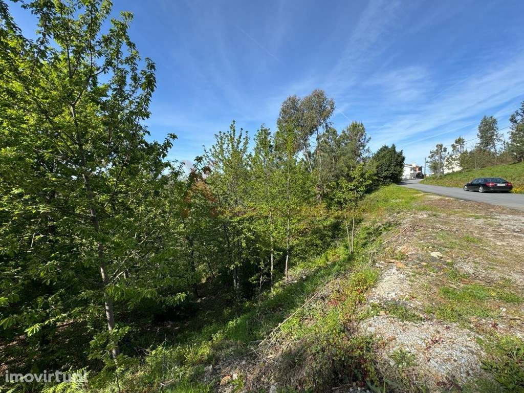 Terreno para Construção em São Romão - Seia - Serra da Estrela - Grande imagem: 3/6