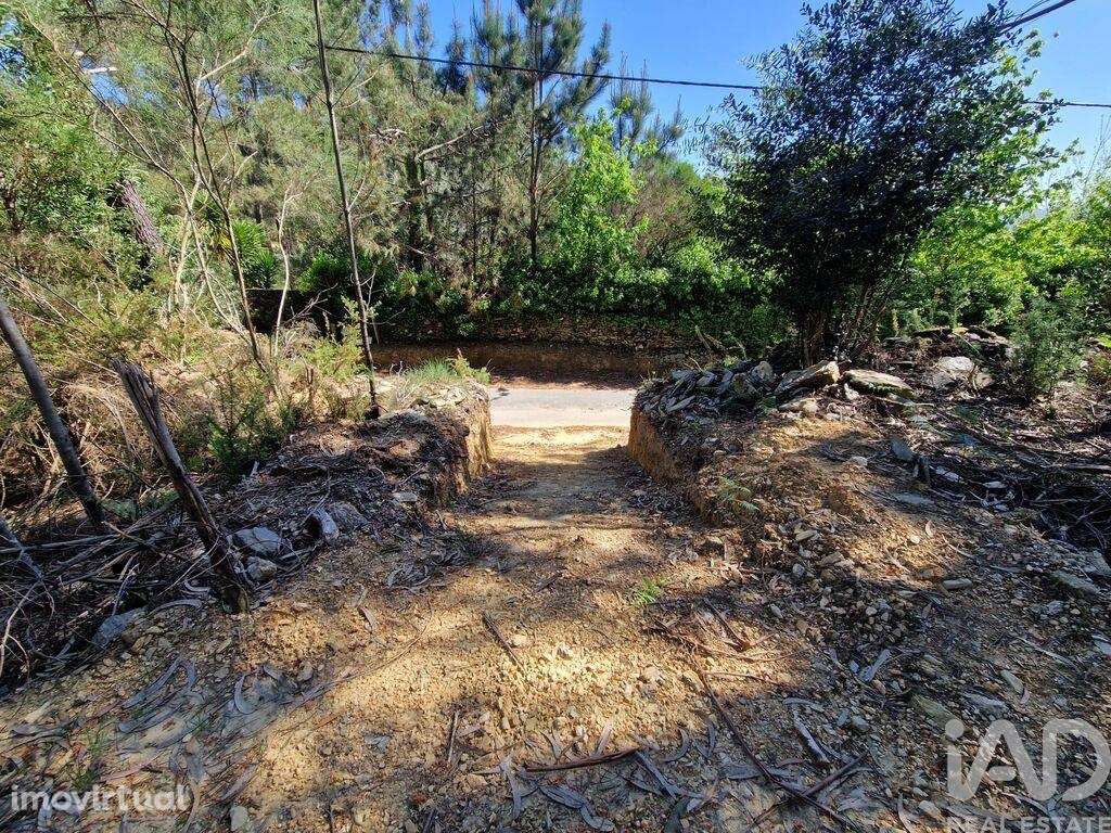 Terreno para construção em Nogueira, Meixedo e Vilar de Murteda de 321 - Grande imagem: 4/22