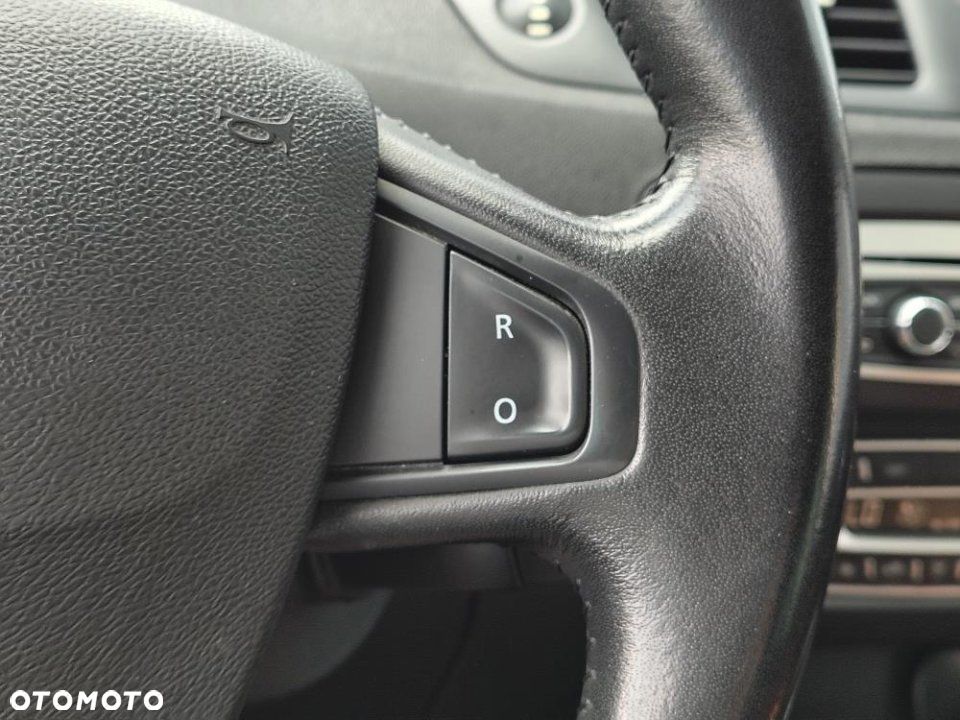 Renault Scenic - 25