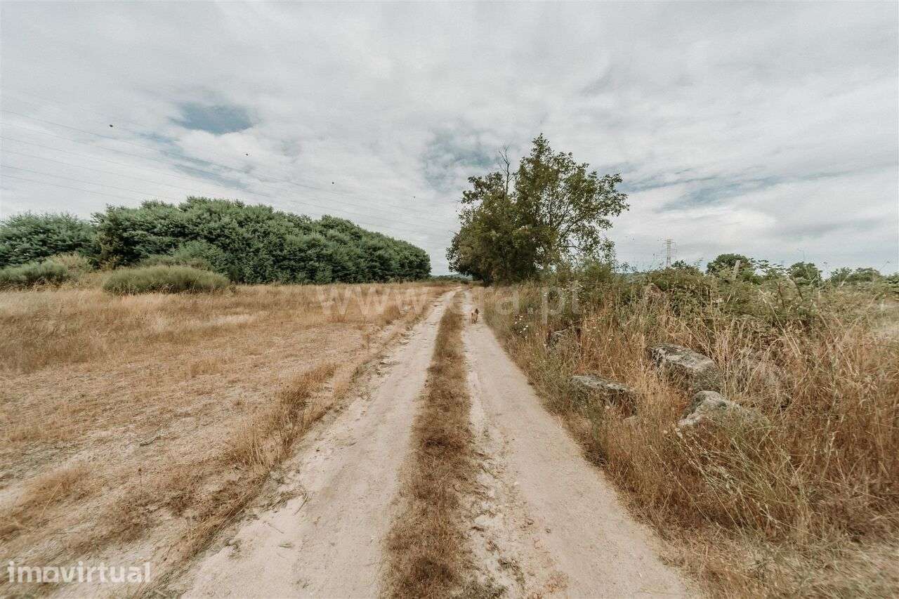 Quinta T3 / Covilhã, Peraboa - Grande imagem: 5/20