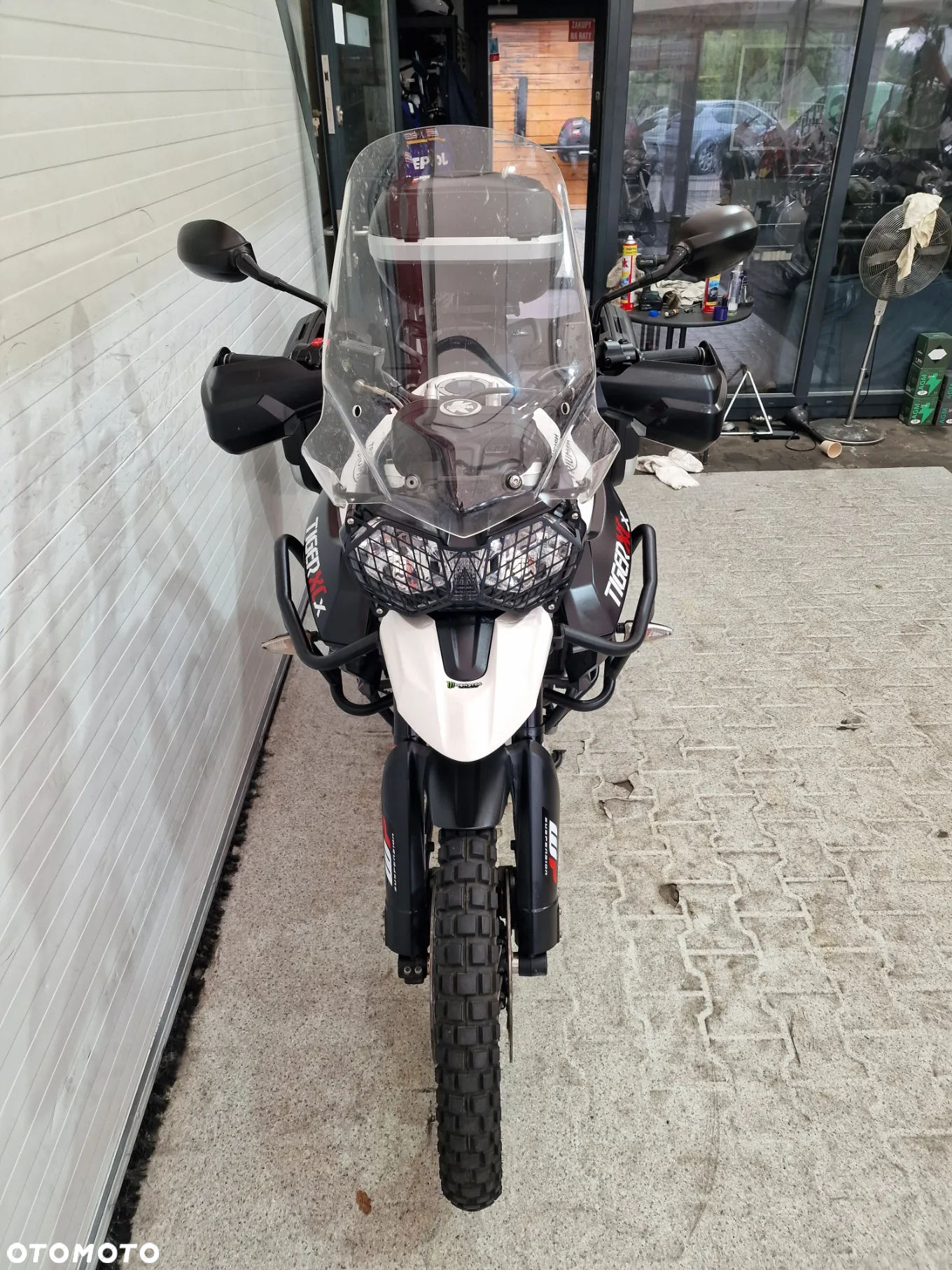 Triumph Tiger - 11