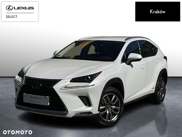 Lexus NX 300h Business Edition AWD
