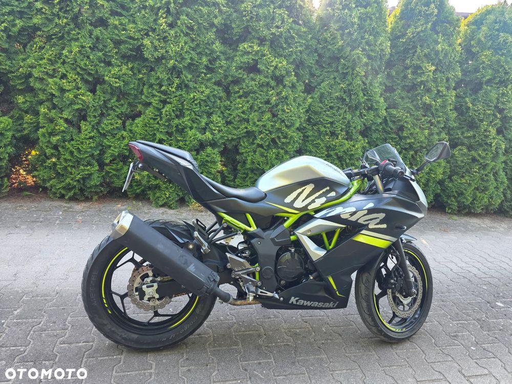 Kawasaki Ninja - 4