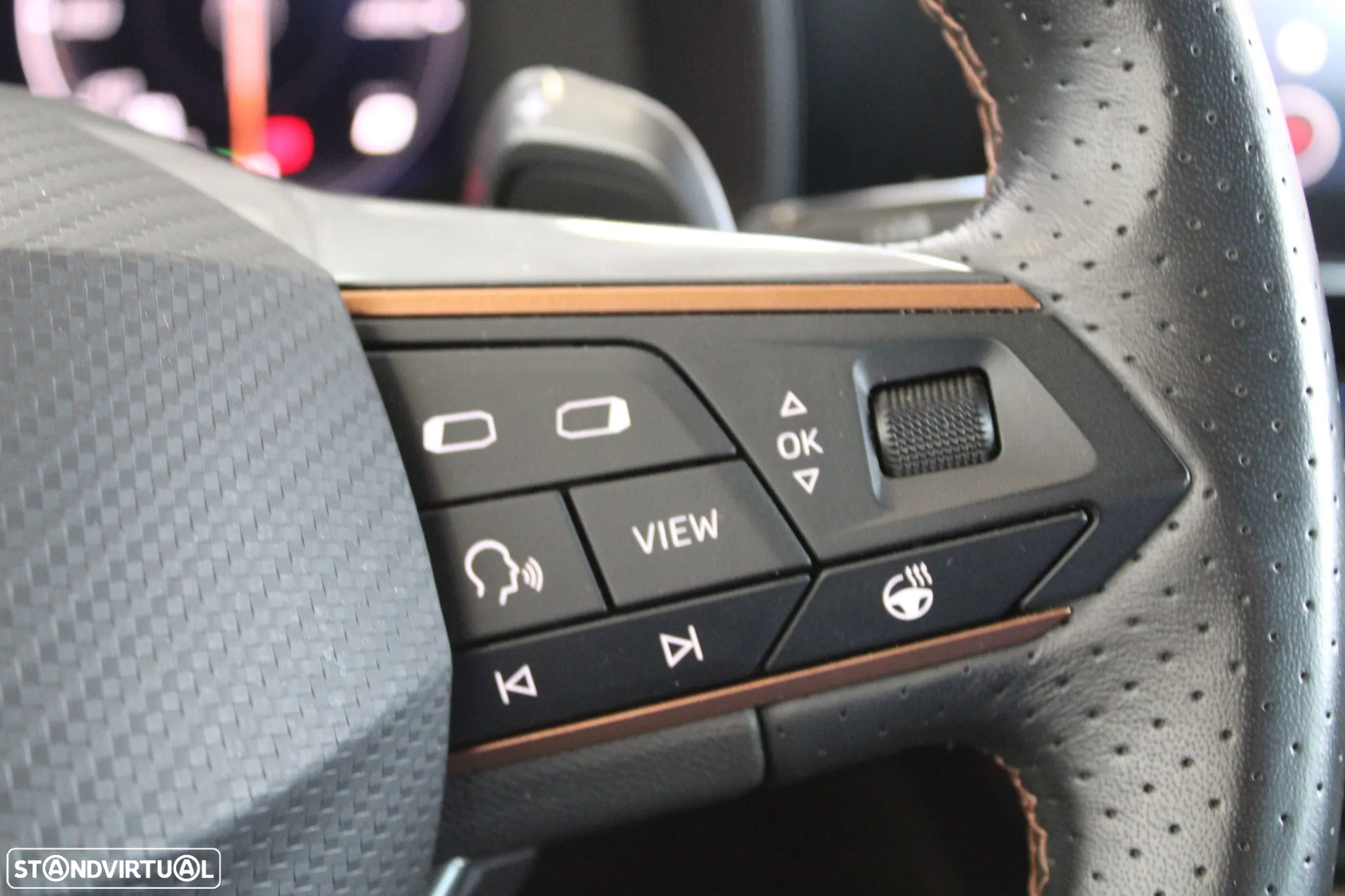 Cupra Formentor 1.5 TSI DSG - 13