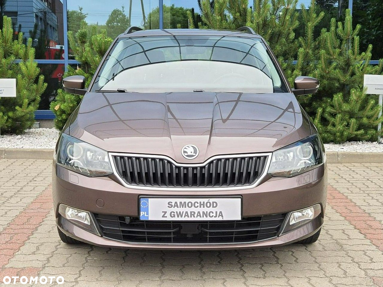 Skoda Fabia - 15