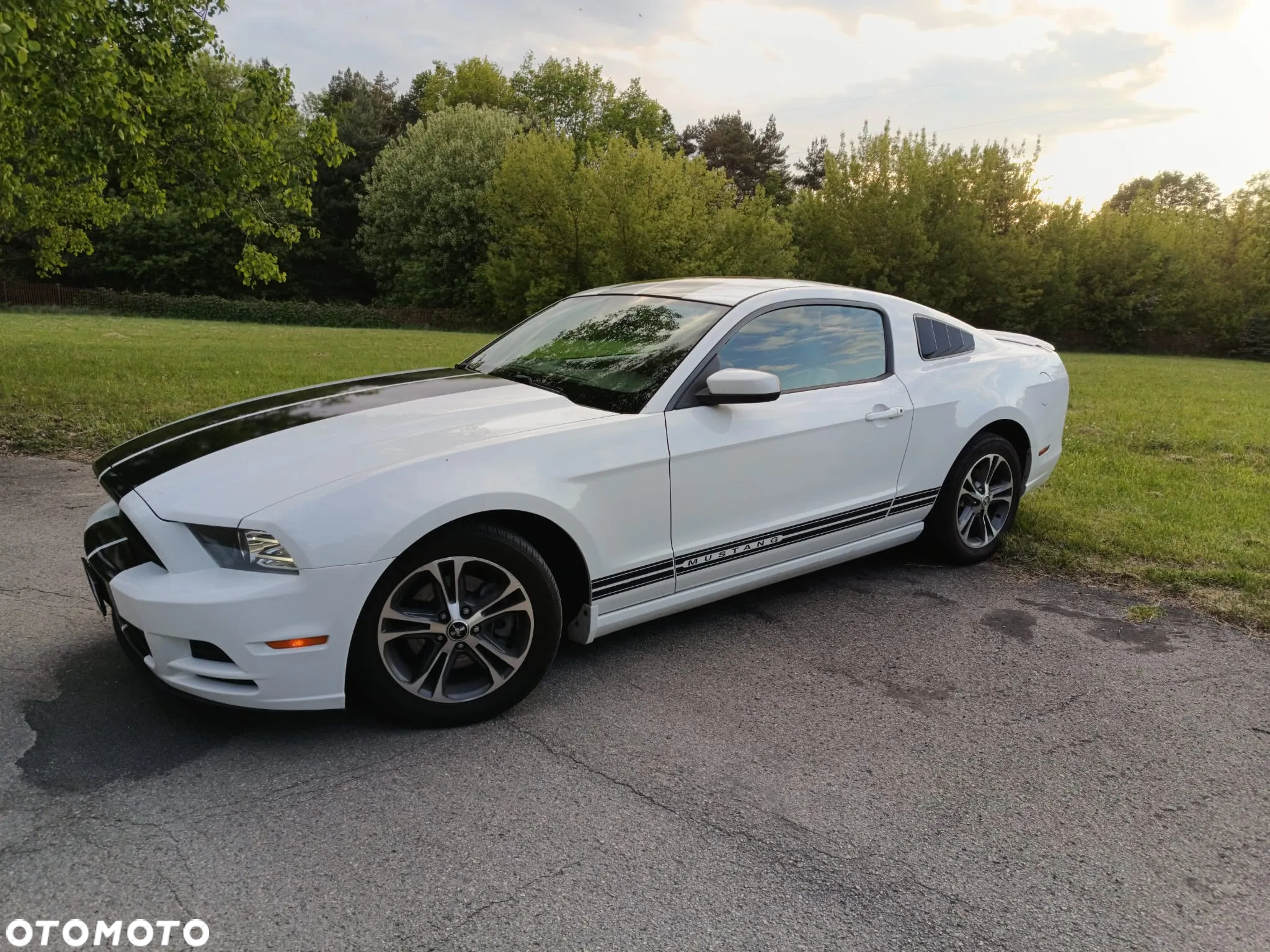 Ford Mustang 3.7 V6 Premium - 17