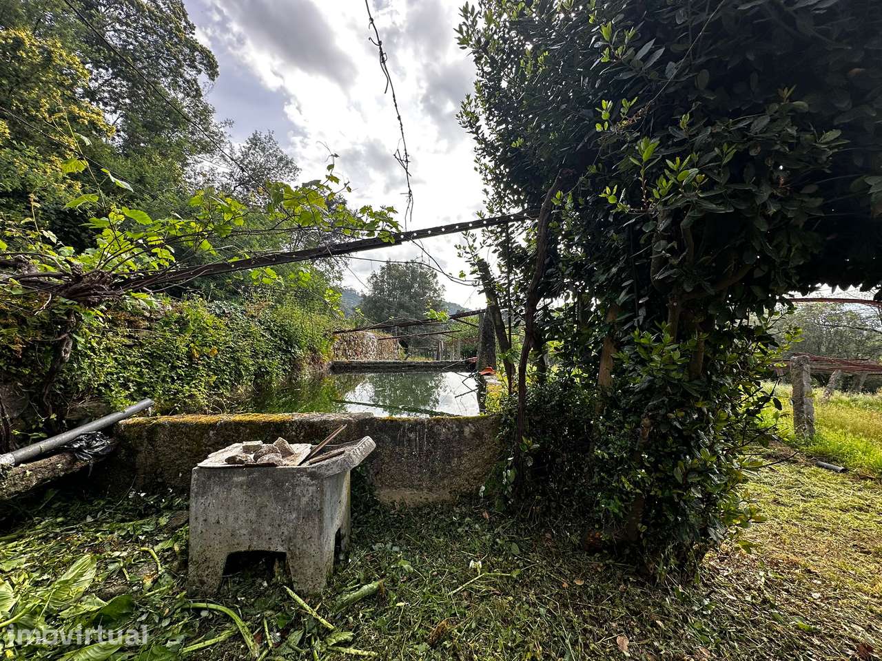 Fantástica quintinha em Serreleis, Viana do Castelo. - Grande imagem: 5/13