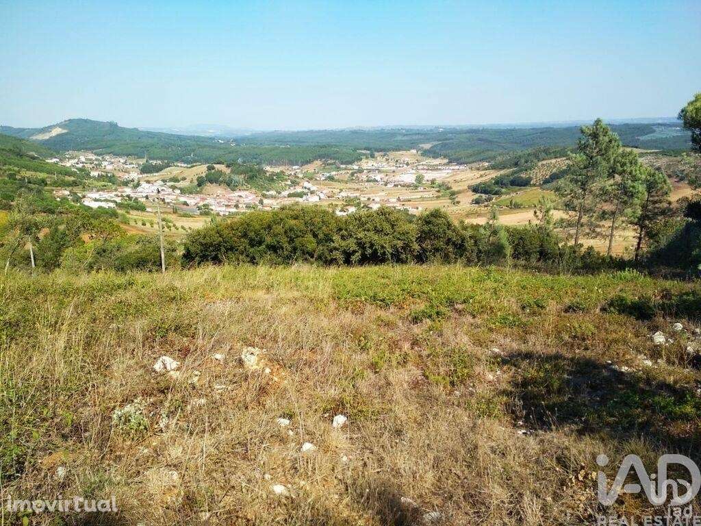 Terreno para construção em Rio Maior - Grande imagem: 2/19