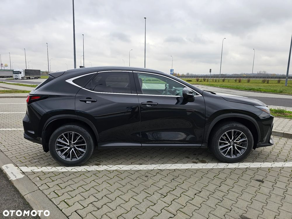 Lexus NX 350h Prestige AWD - 7