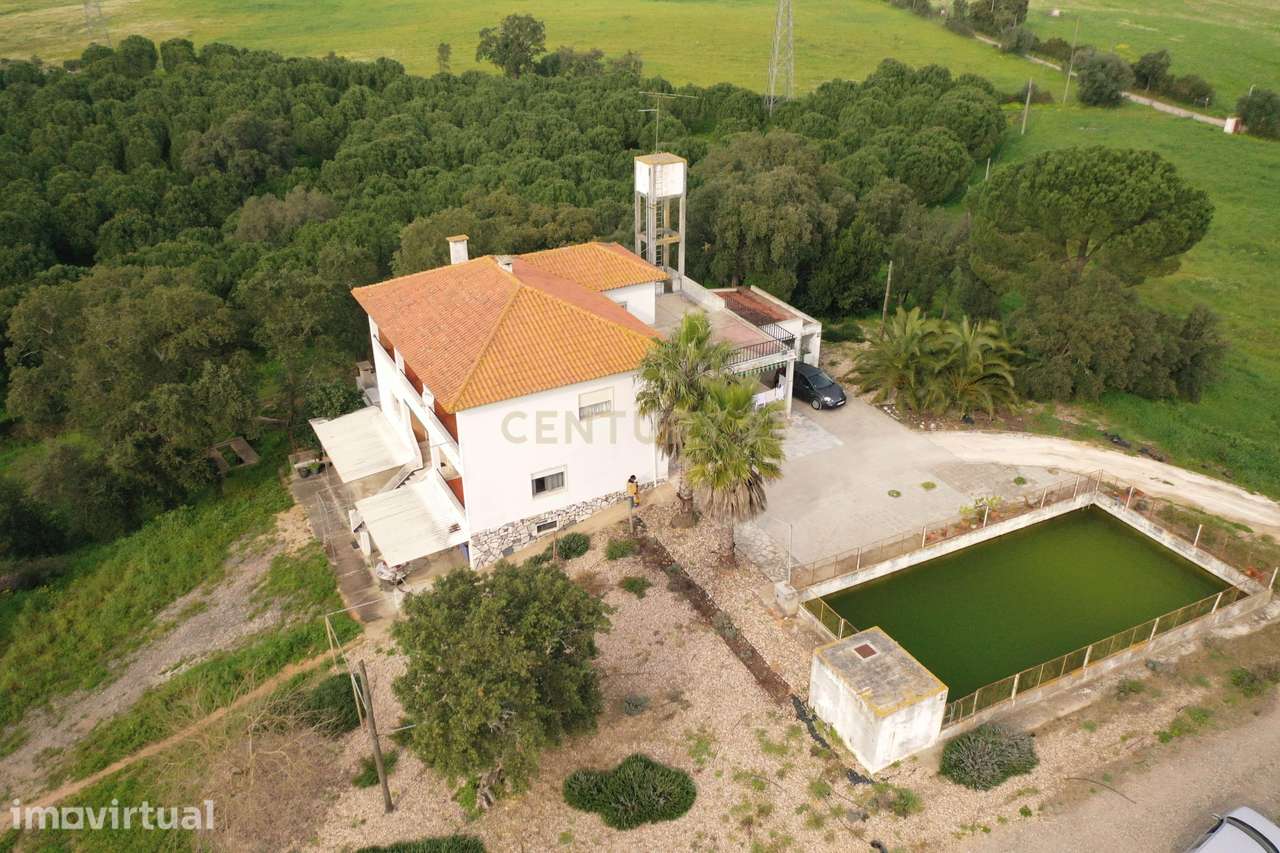 Quinta com 24 hectares no centro de Santarém – Excelente oportunidade - Grande imagem: 3/60