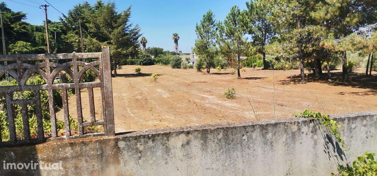 Terreno plano rústico nas Padeiras, Setúbal. - Grande imagem: 4/4