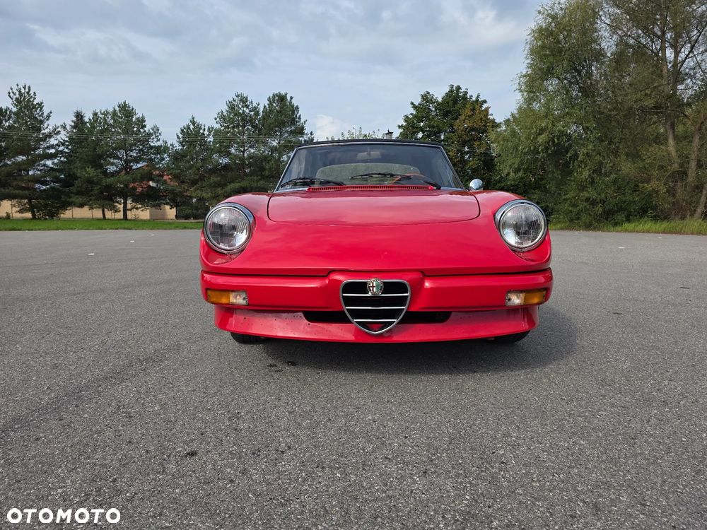 Alfa Romeo Spider - 7