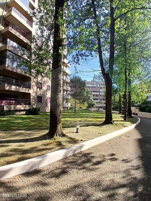 Apartamento T2 para arrendamento - Grande imagem: 4/44