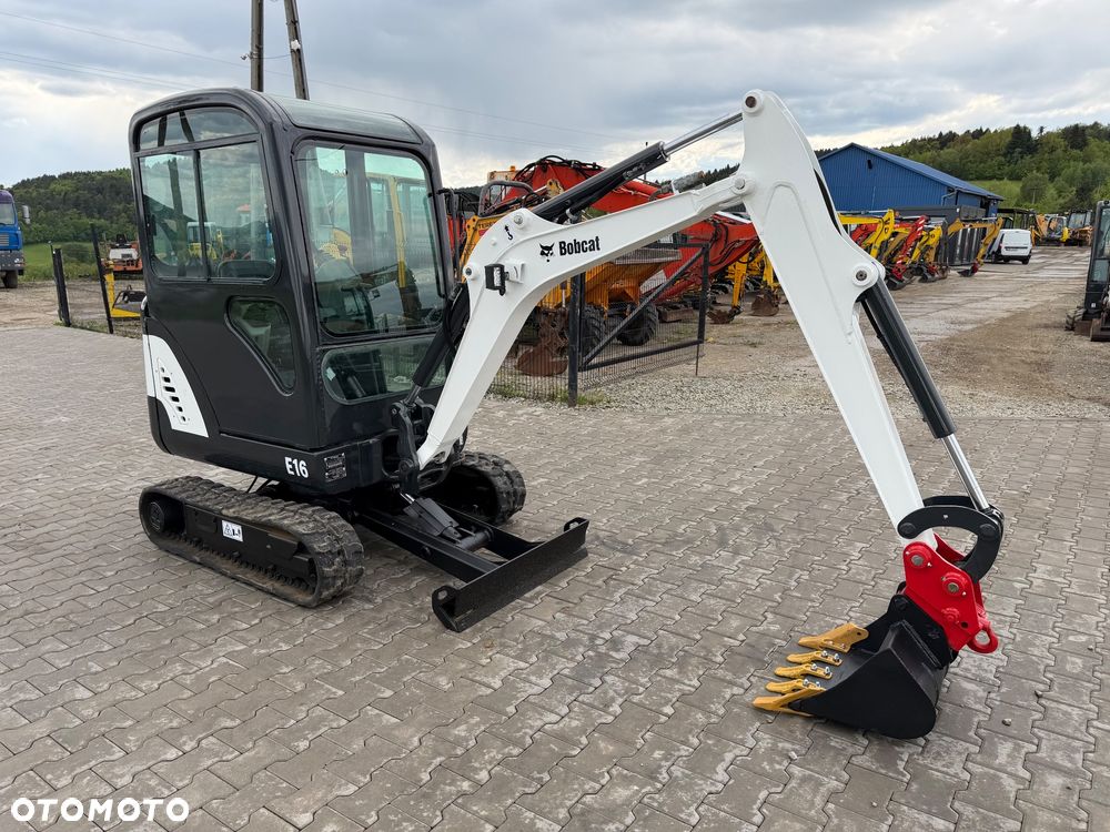 Bobcat - 6