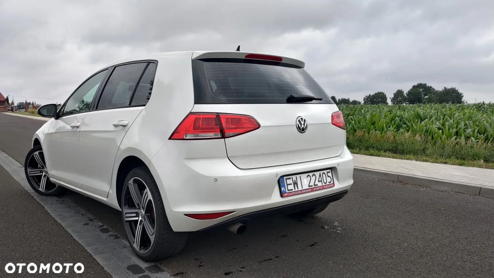 Volkswagen Golf 1.6 TDI BlueMotion Technology Cup - 14