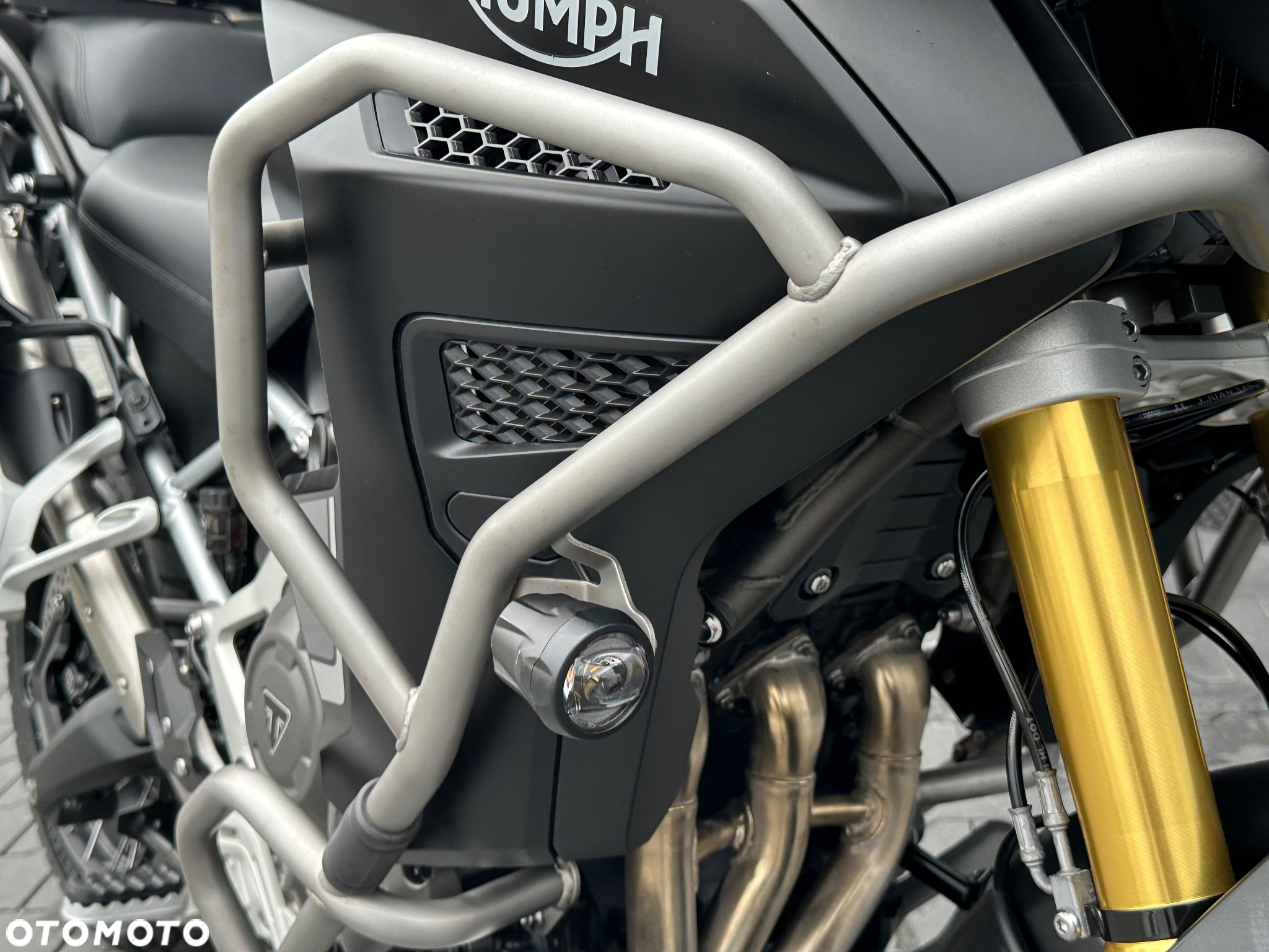 Triumph Tiger - 19