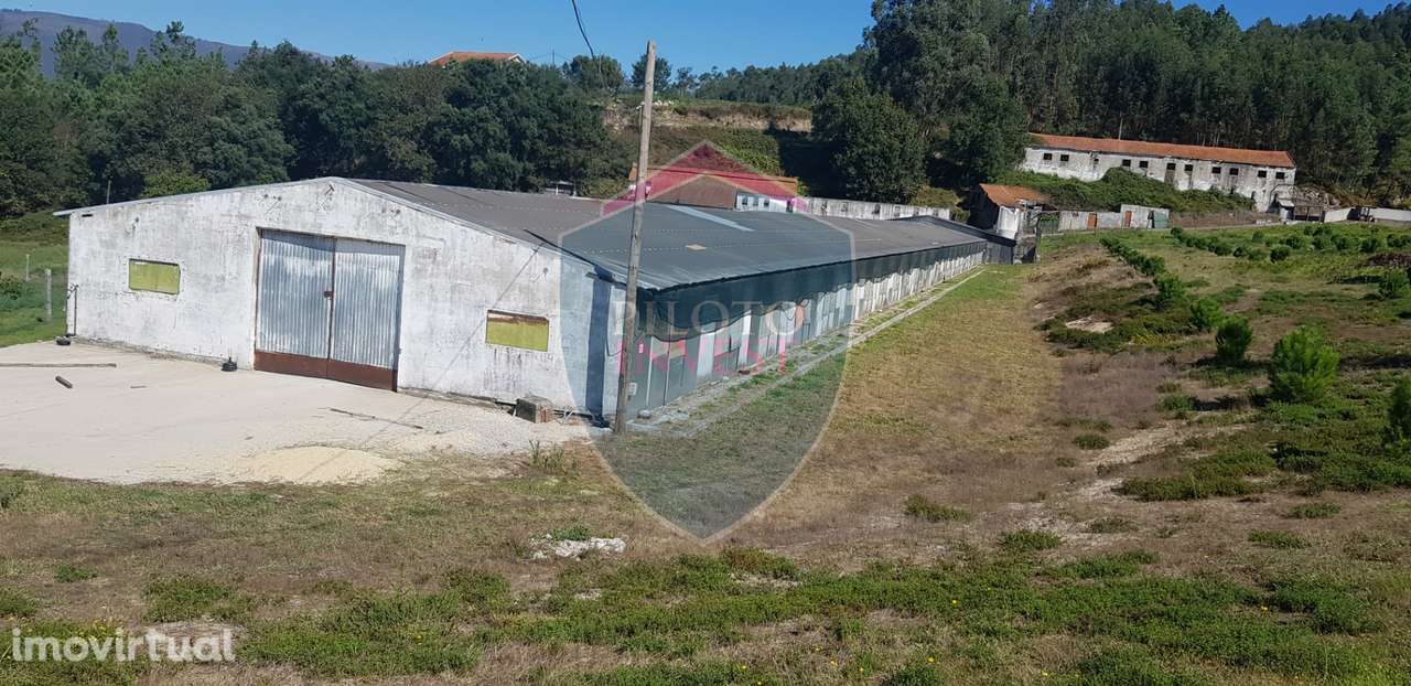 Quinta  Venda em São João da Serra,Oliveira de Frades - Grande imagem: 4/45