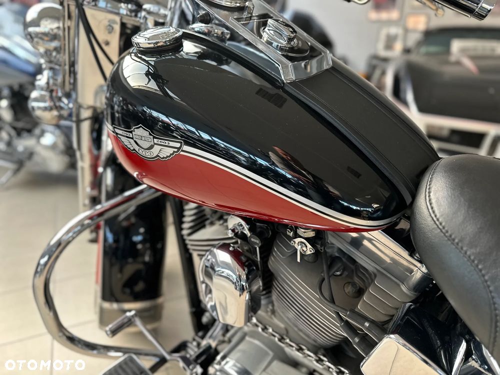 Harley-Davidson Softail - 14