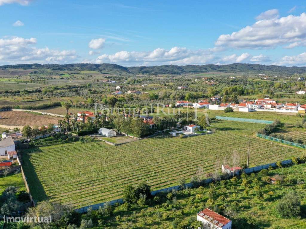 Quinta com 1,7 hectares na Vidigueira com produção agricola - Grande imagem: 3/37