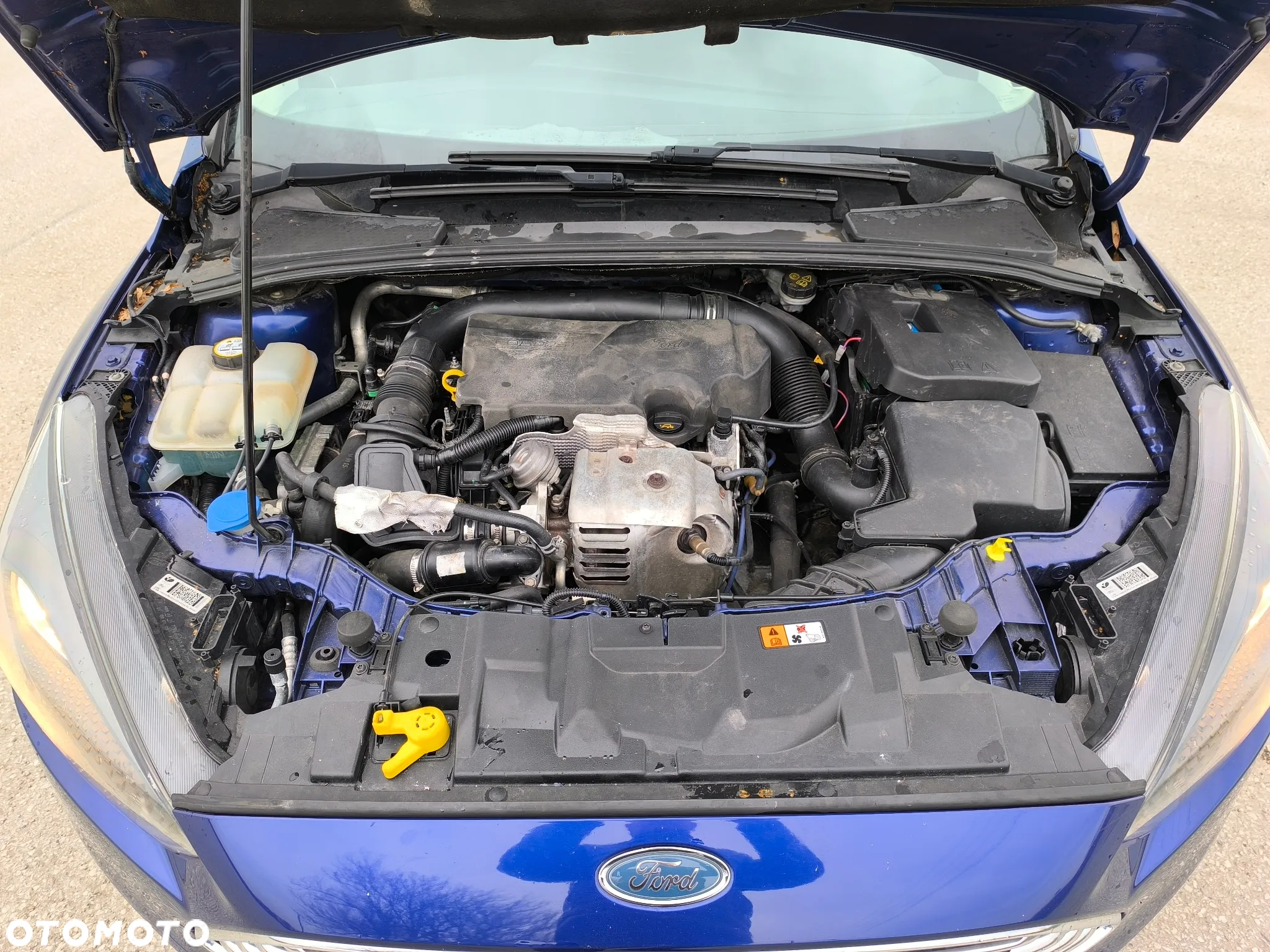 Ford Focus 1.0 EcoBoost Red Edition ASS - 6