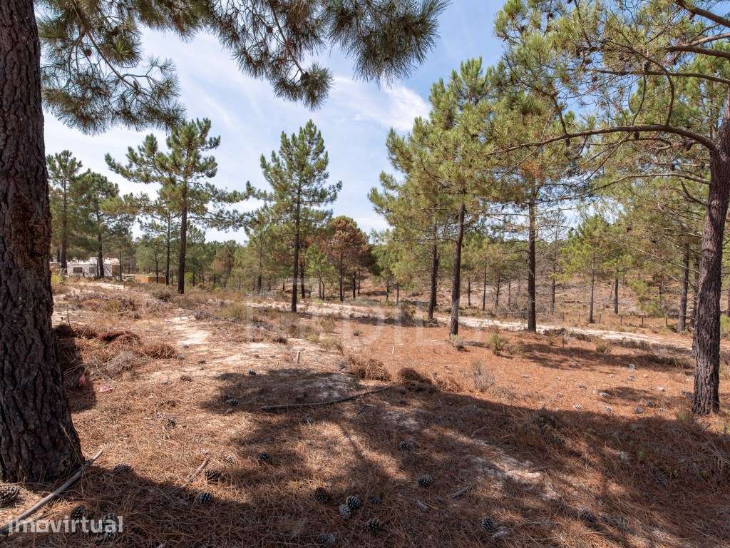 Lote de Terreno inserido no loteamento La Reserve, Carvalhal - Grande imagem: 3/23