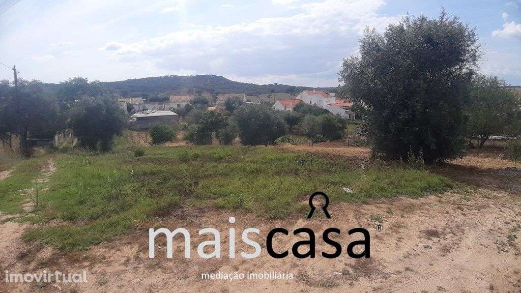 Lote Urbano com Árvores ! - Grande imagem: 2/7