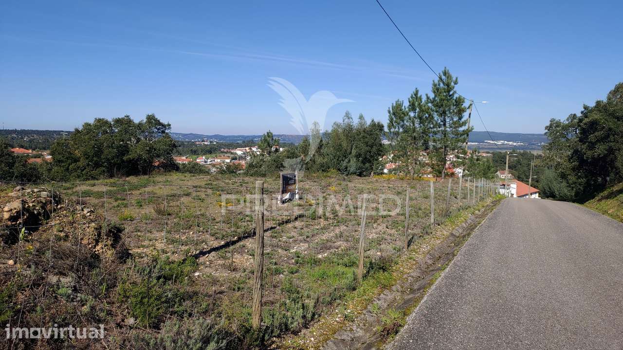 Terreno Rústico 8600 m² – pohled 3