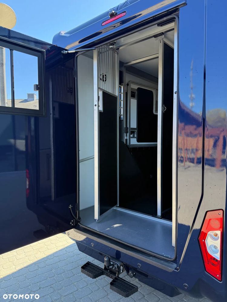 Renault MASTER IV 5-osobowy, Nowy koniowóz STX Automat, GWARANCJA - 18