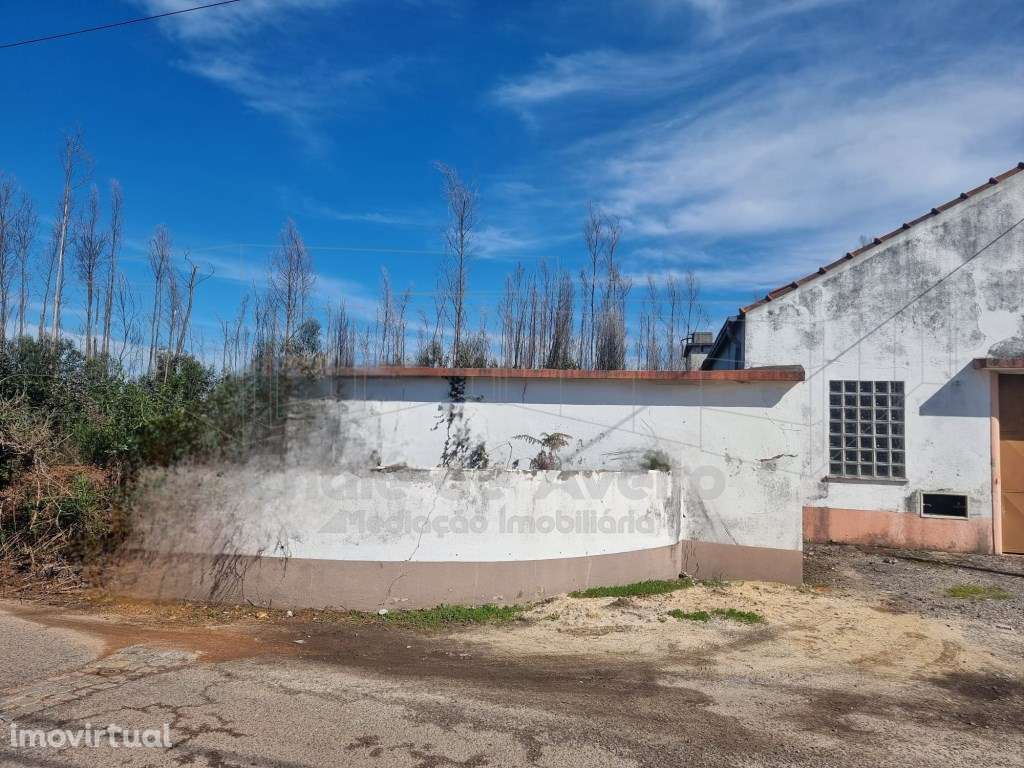 Armazém com terreno em Albergaria-a-Velha - Grande imagem: 2/4