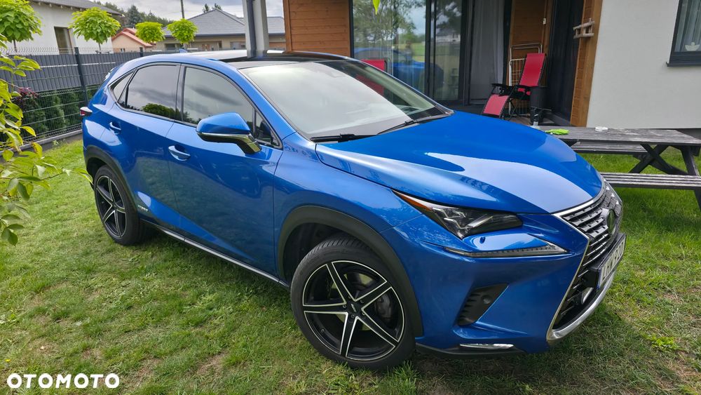 Lexus NX 300h Omotenashi AWD - 6