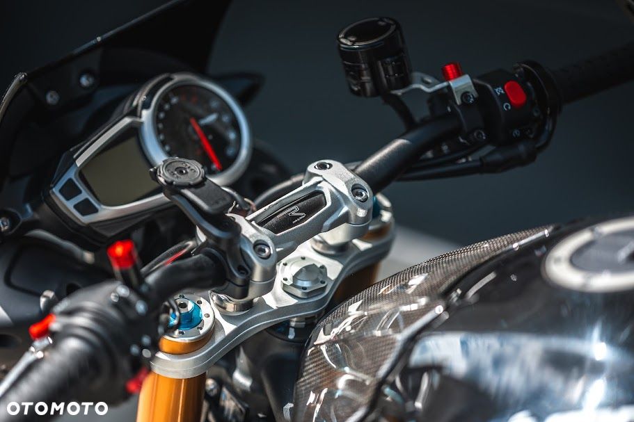 Triumph Speed Triple - 14