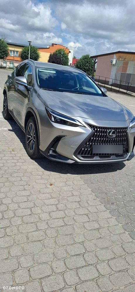 Lexus NX - 3