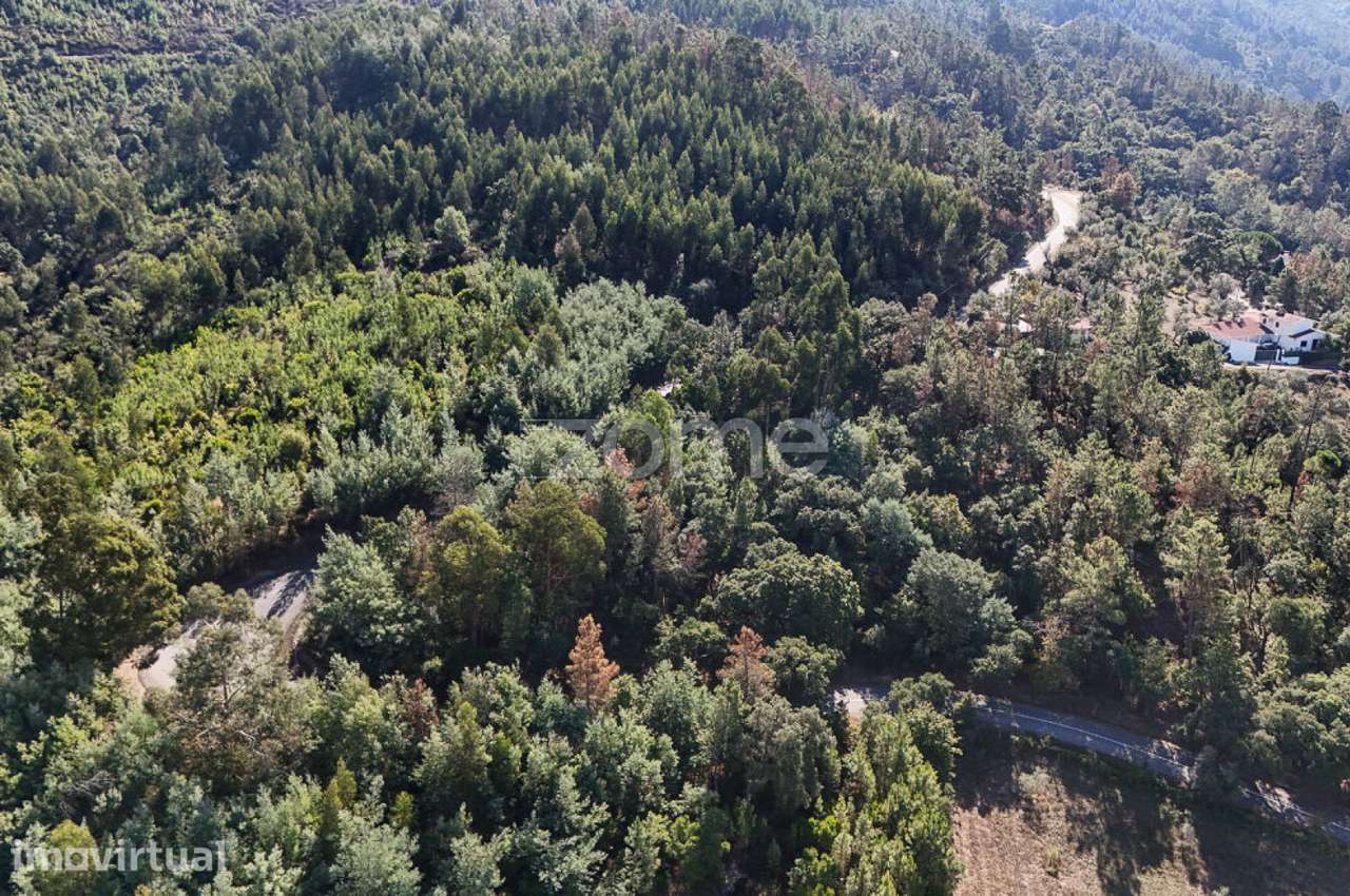 Terreno em Folques, Arganil - Grande imagem: 4/15